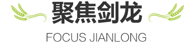聚焦劍龍